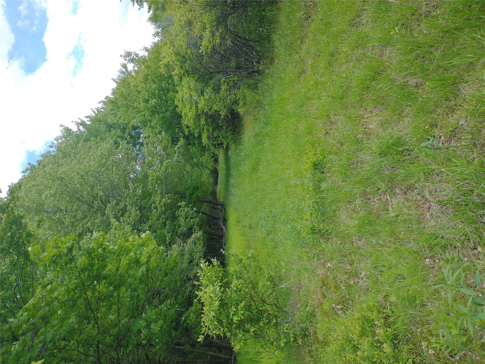 650 Thunder Hill Road Neversink, NY 12788 - Photo 27 of 37 a view of a field of grass and trees