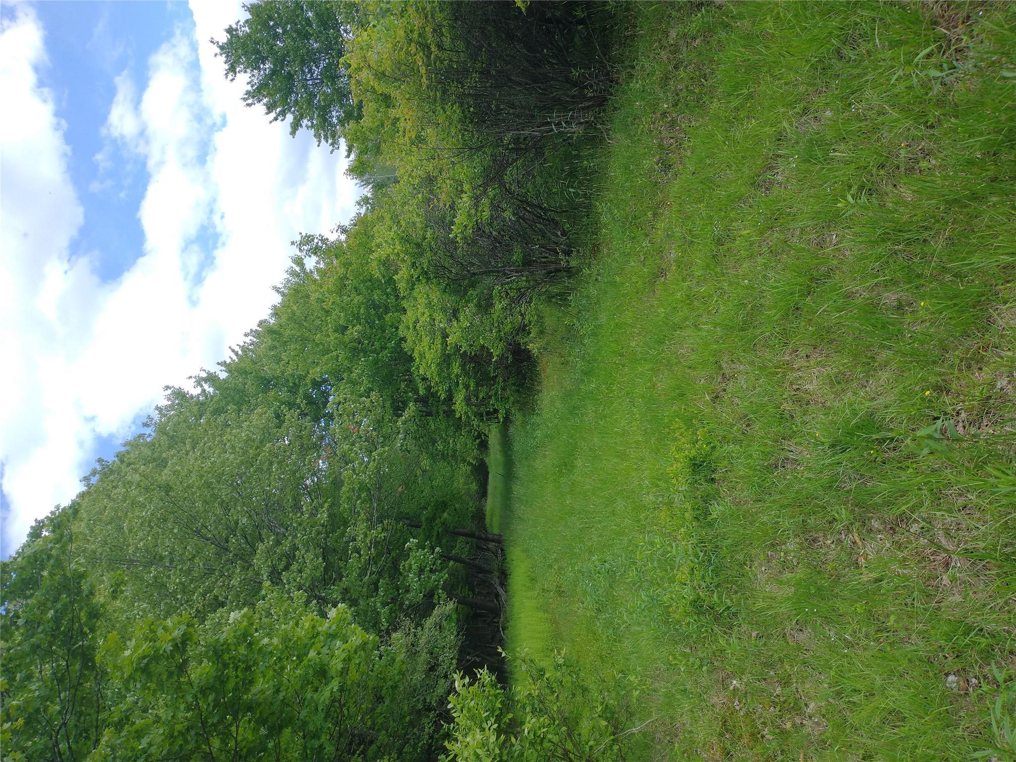 650 Thunder Hill Road Neversink, NY 12788 - Photo 28 of 37 a view of a lush green space