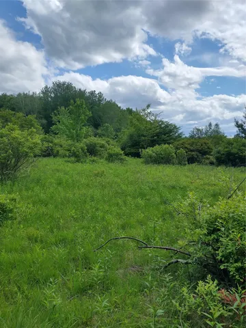 a view of yard with green space