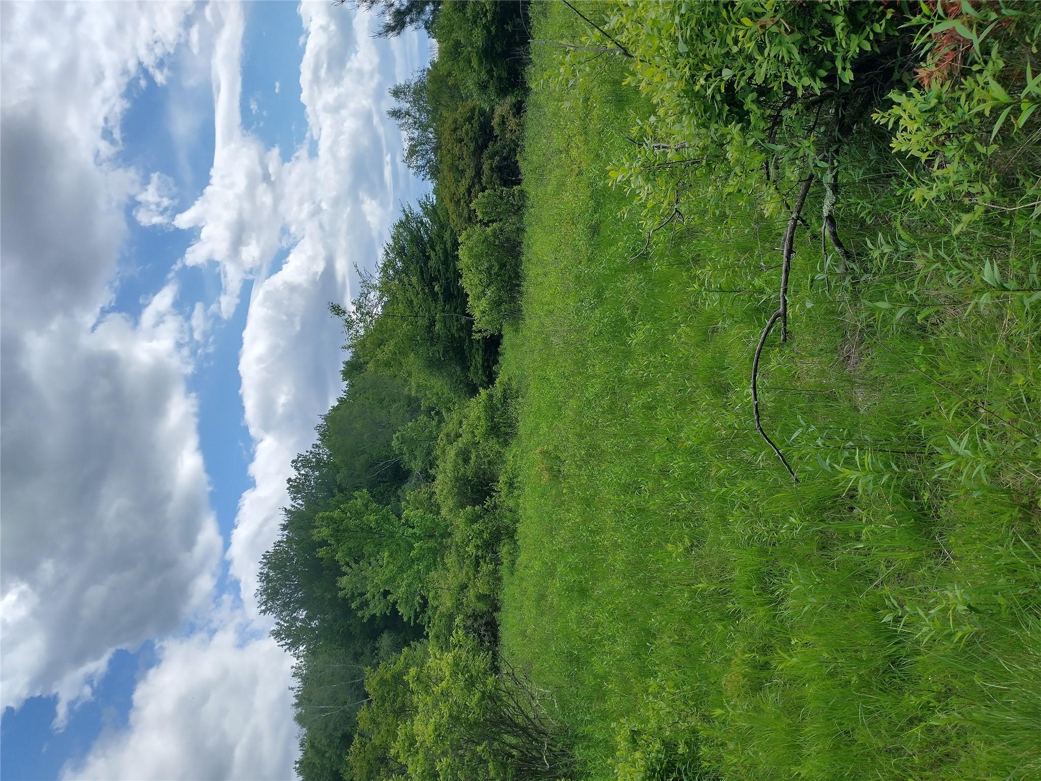 650 Thunder Hill Road Neversink, NY 12788 - Photo 29 of 37 a view of a big yard with potted plants and large trees