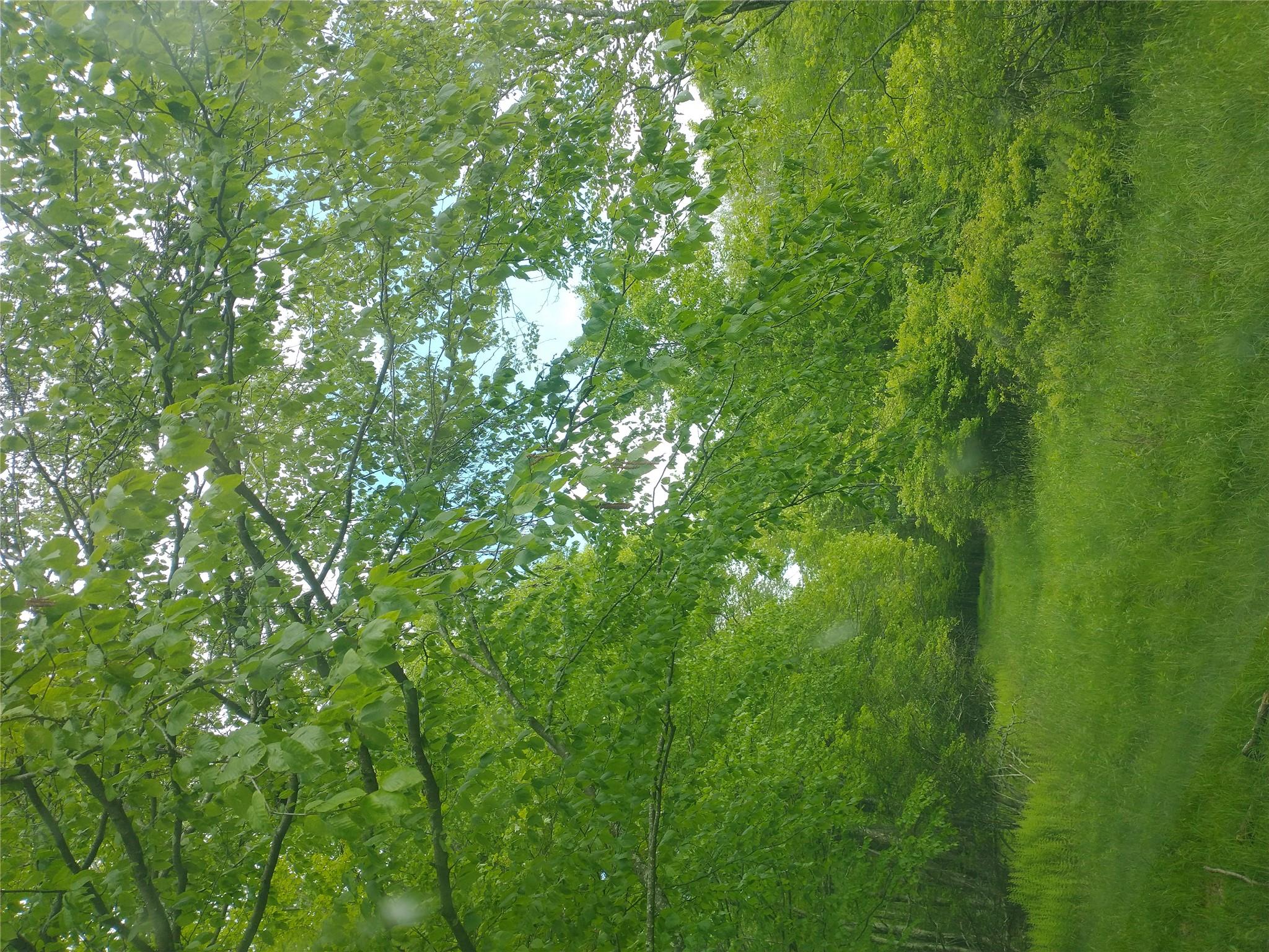 650 Thunder Hill Road Neversink, NY 12788 - Photo 30 of 37 a view of yard with green space