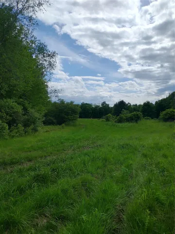 a ground with lots of trees