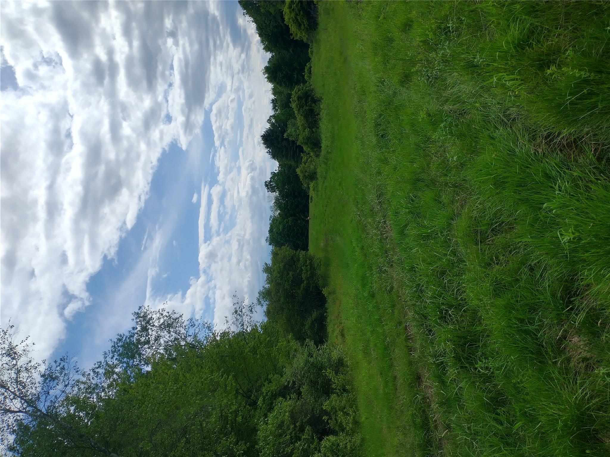 650 Thunder Hill Road Neversink, NY 12788 - Photo 31 of 37 a view of a yard with an outdoor space