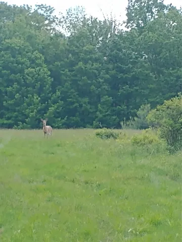 a view of outdoor space and mountain view