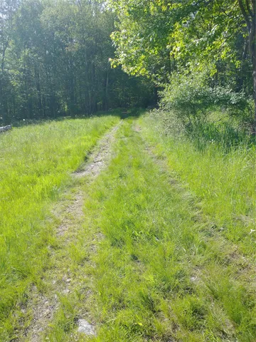 a view of a lush green space