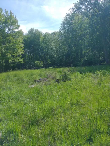 a view of yard with green space