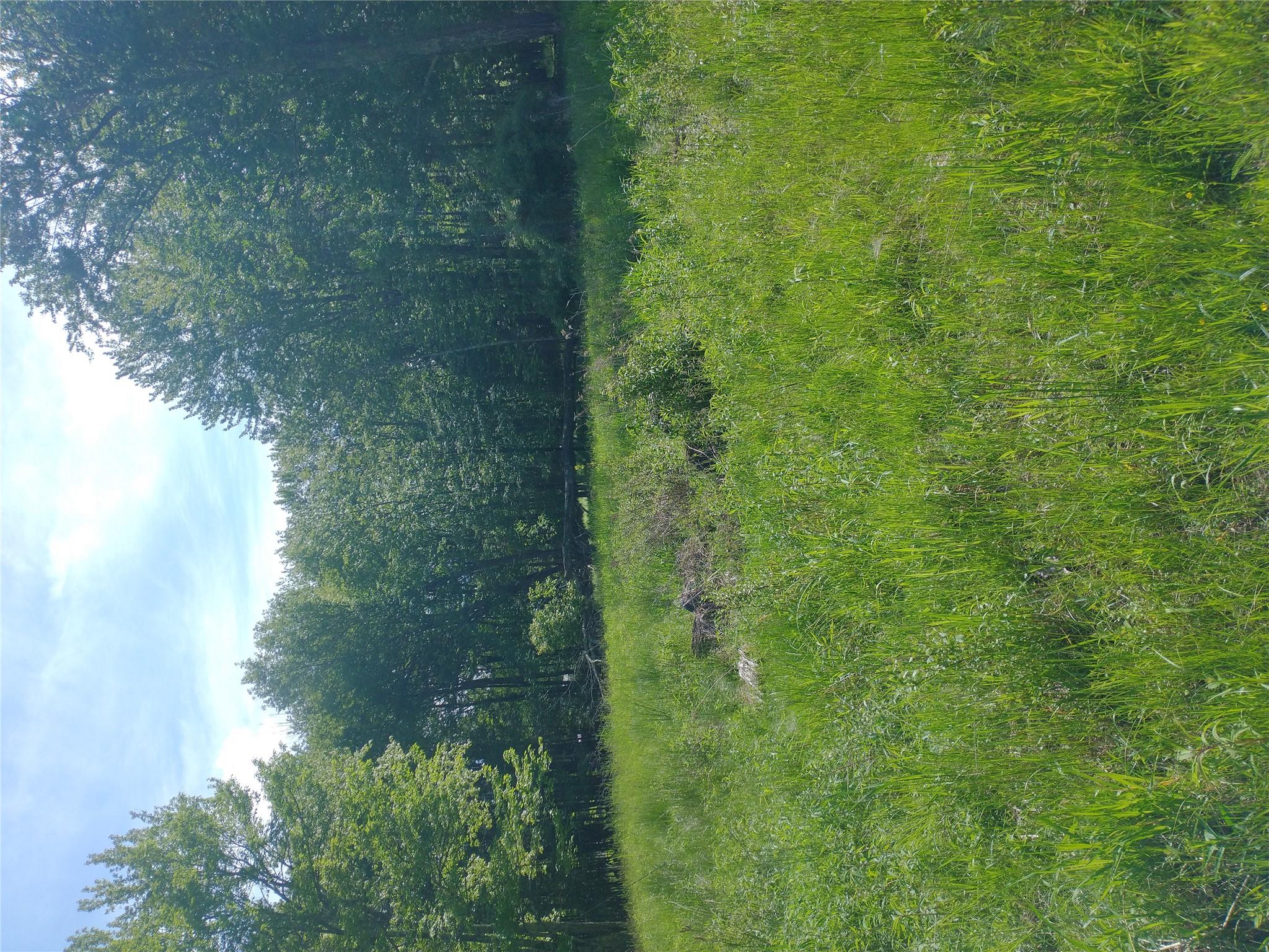 650 Thunder Hill Road Neversink, NY 12788 - Photo 36 of 37 a view of a lush green space