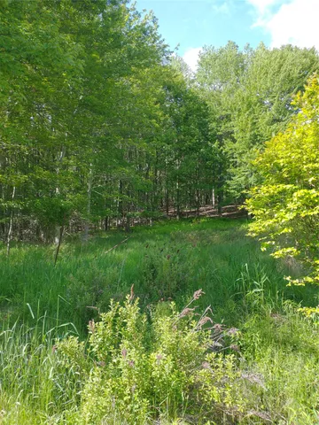 $3,200,000 | 650 Thunder Hill Road, Neversink, NY 12788