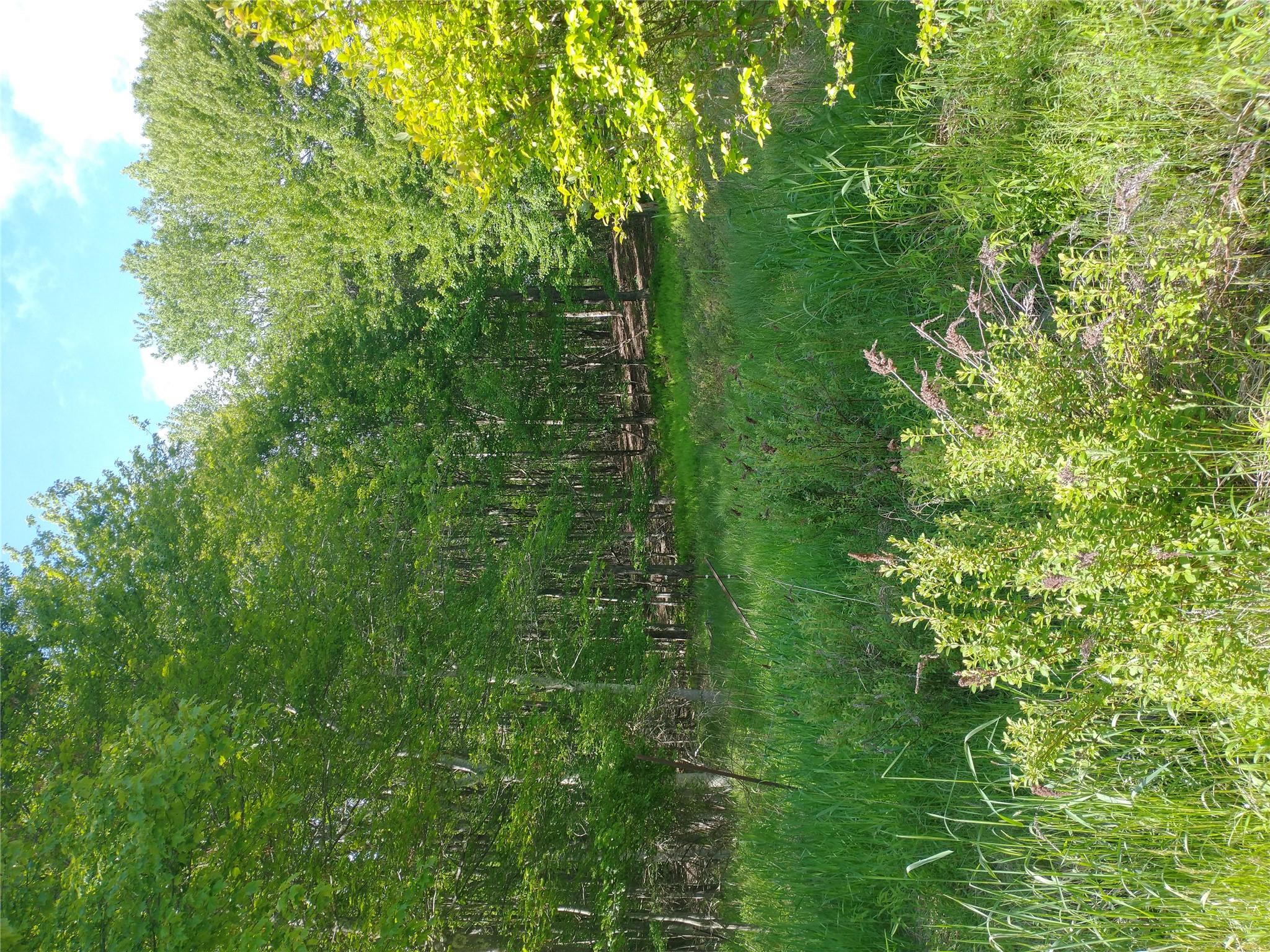 650 Thunder Hill Road Neversink, NY 12788 - Photo 37 of 37 a view of yard with green space