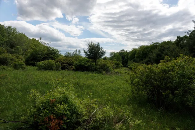 a view of a green field with lots of bushes