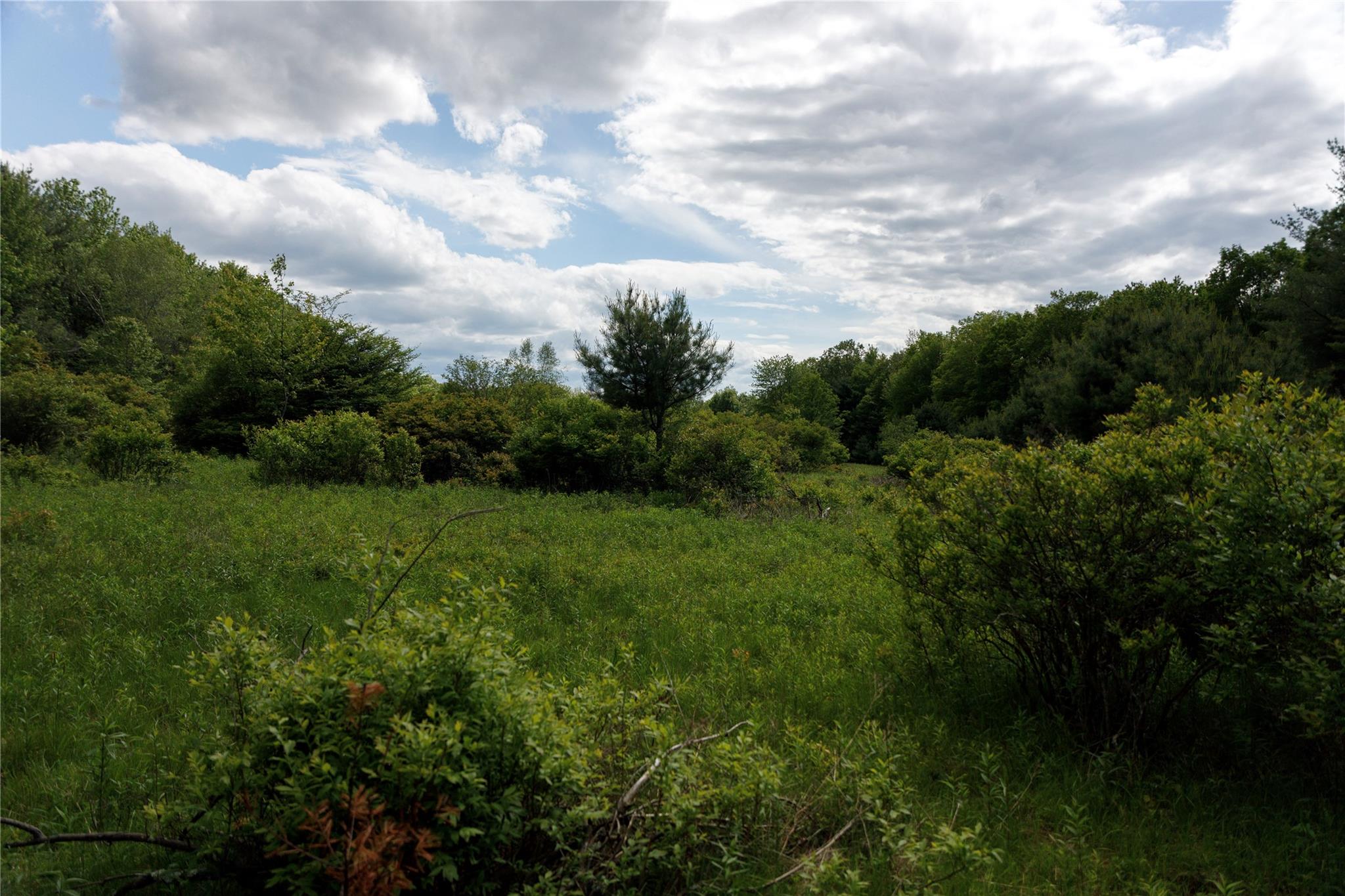 650 Thunder Hill Road Neversink, NY 12788 - Photo 4 of 37 a view of a green field with lots of bushes
