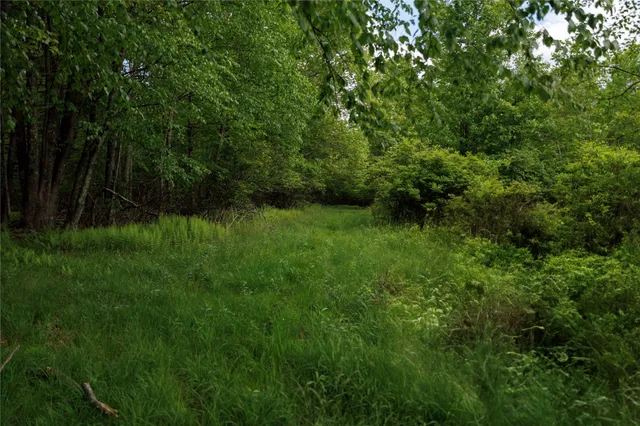 a view of backyard with green space