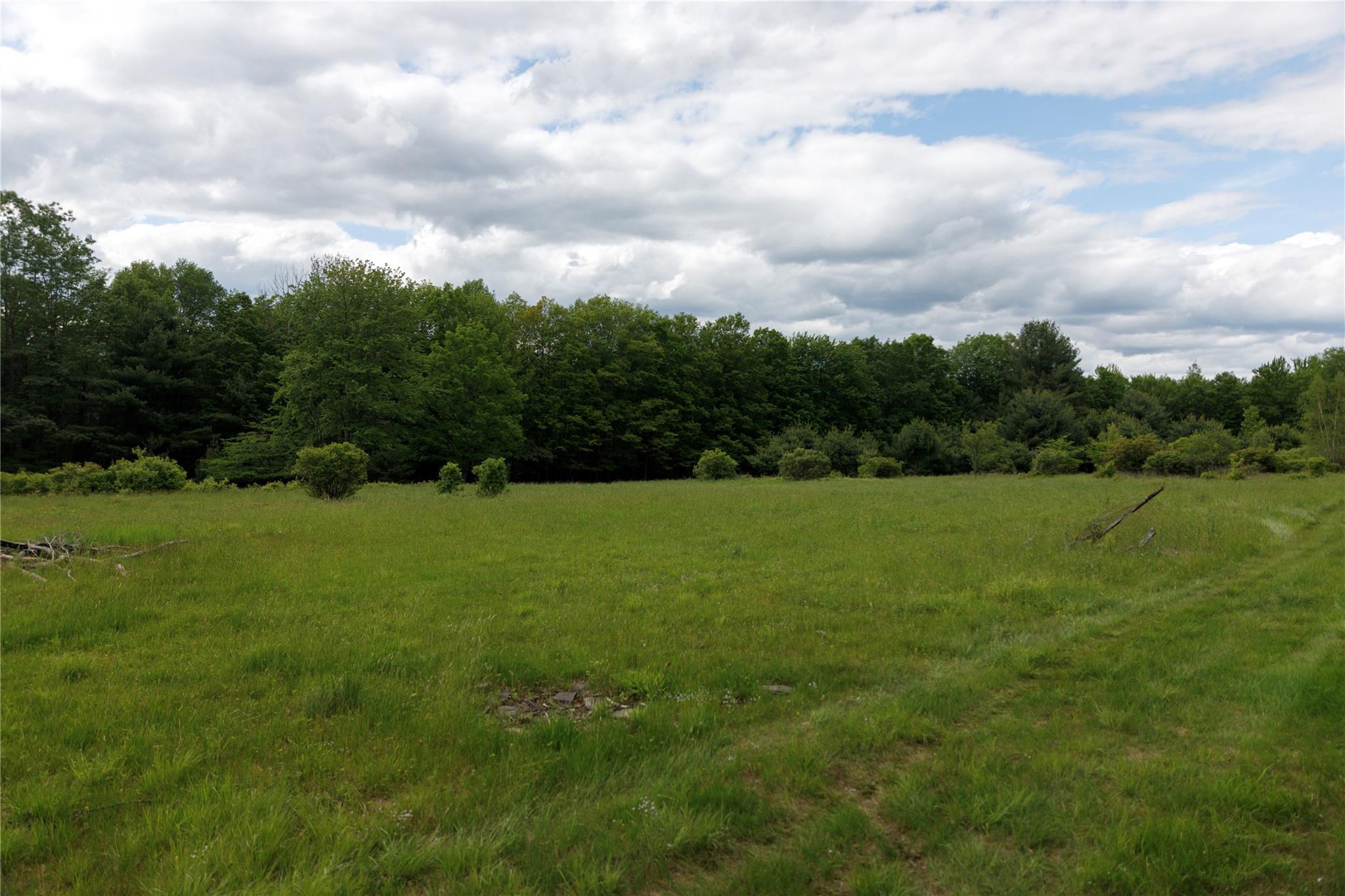 650 Thunder Hill Road Neversink, NY 12788 - Photo 7 of 37 a view of a green field with wooden fence
