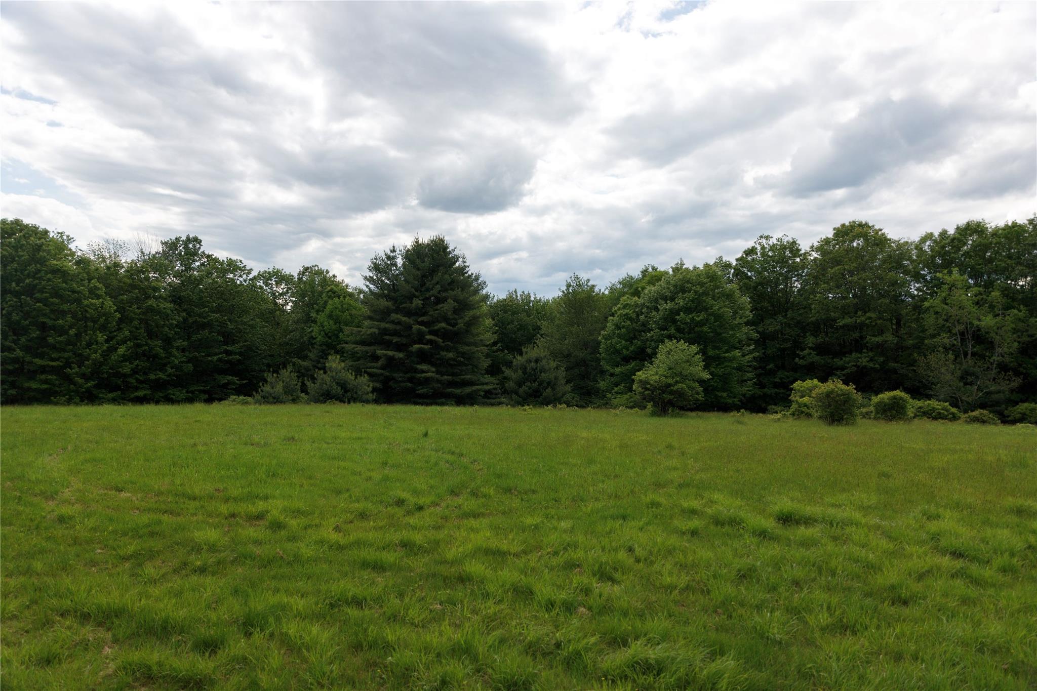 650 Thunder Hill Road Neversink, NY 12788 - Photo 8 of 37 a view of field with lots of trees