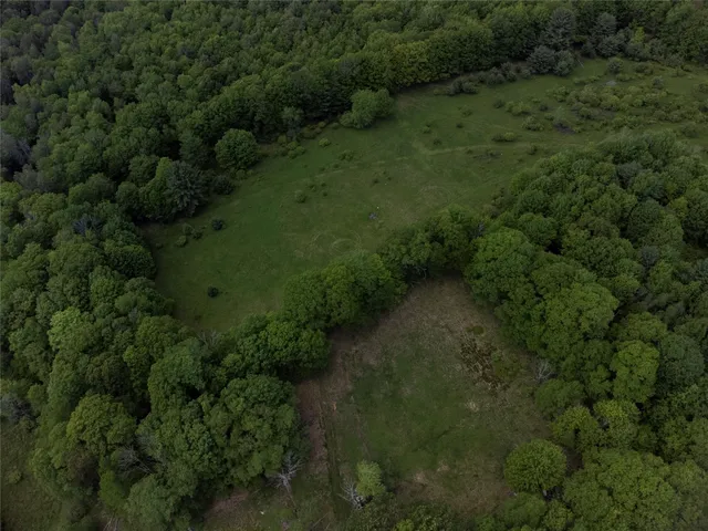an aerial view of a forest with a yard