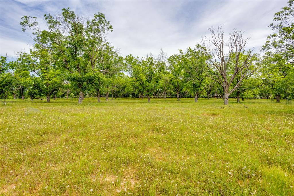 1000 West Landings Road North Granbury, TX 76049 - Photo 19 of 20