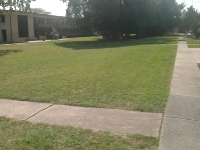 a view of tennis court