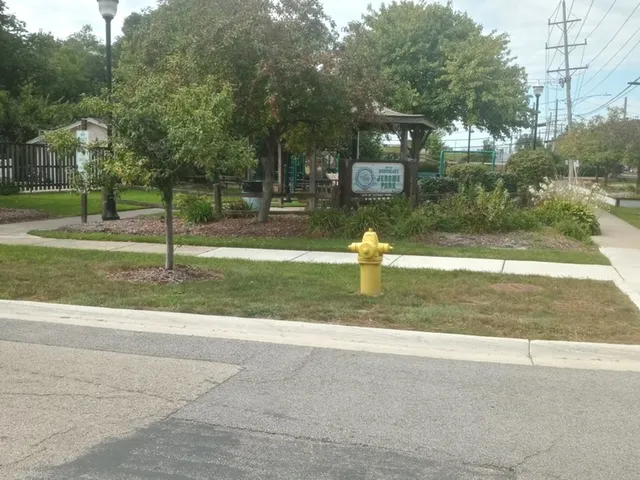 a view of a house with a backyard and a tree