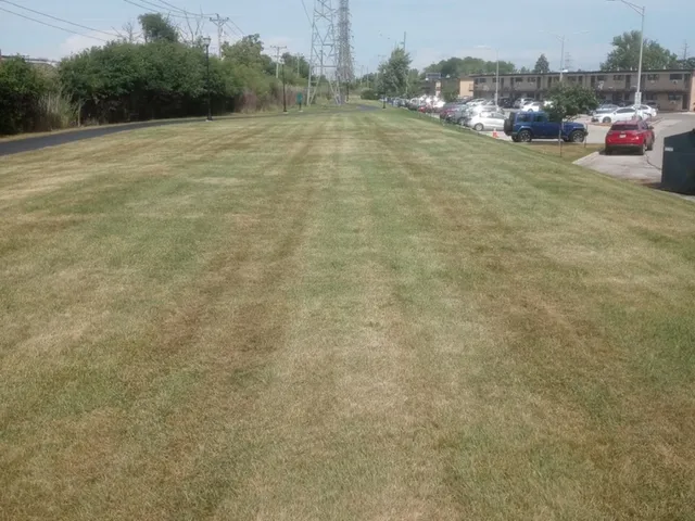 a view of a field with an trees