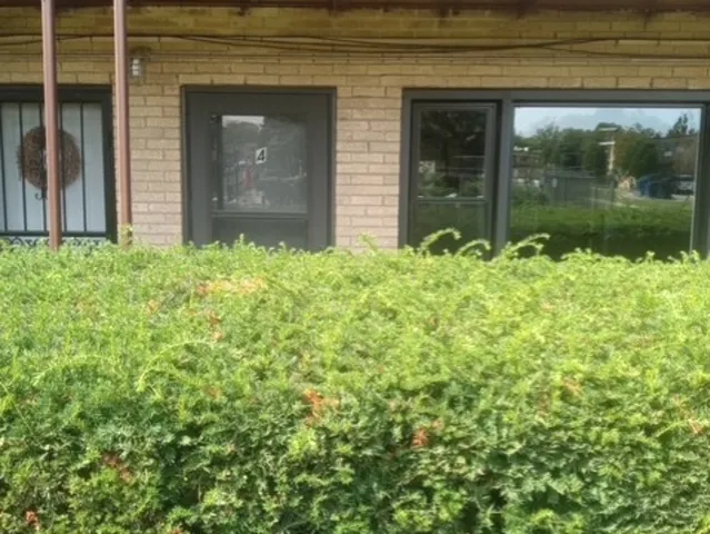 a backyard of a house with a garden