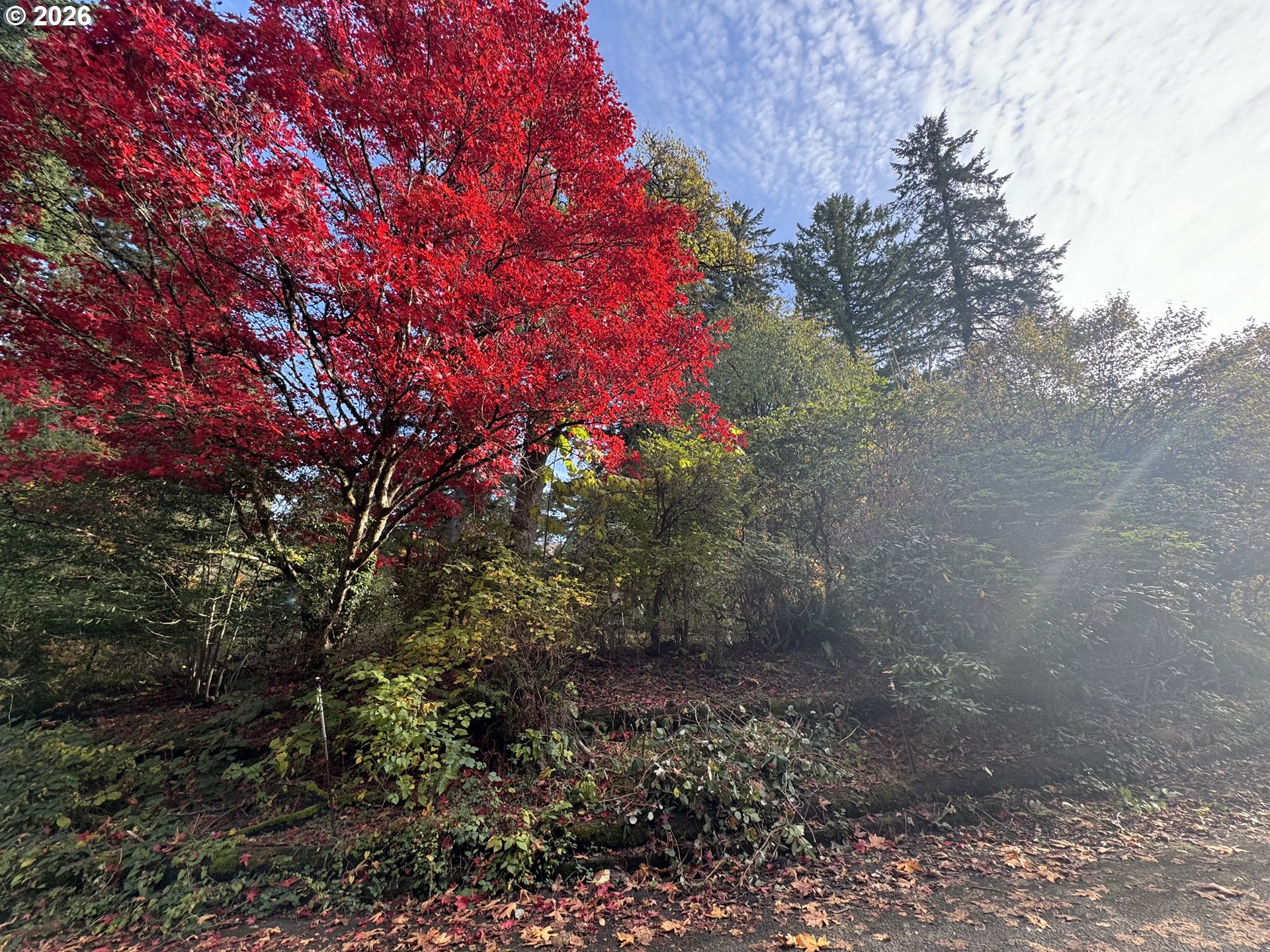 Southwest 16th Drive Portland, OR 97219 - Photo 18 of 22