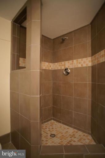 9723 Capitol View Avenue Silver Spring, MD 20910 - Photo 6 of 26 Spacious shower in the lower level bathroom