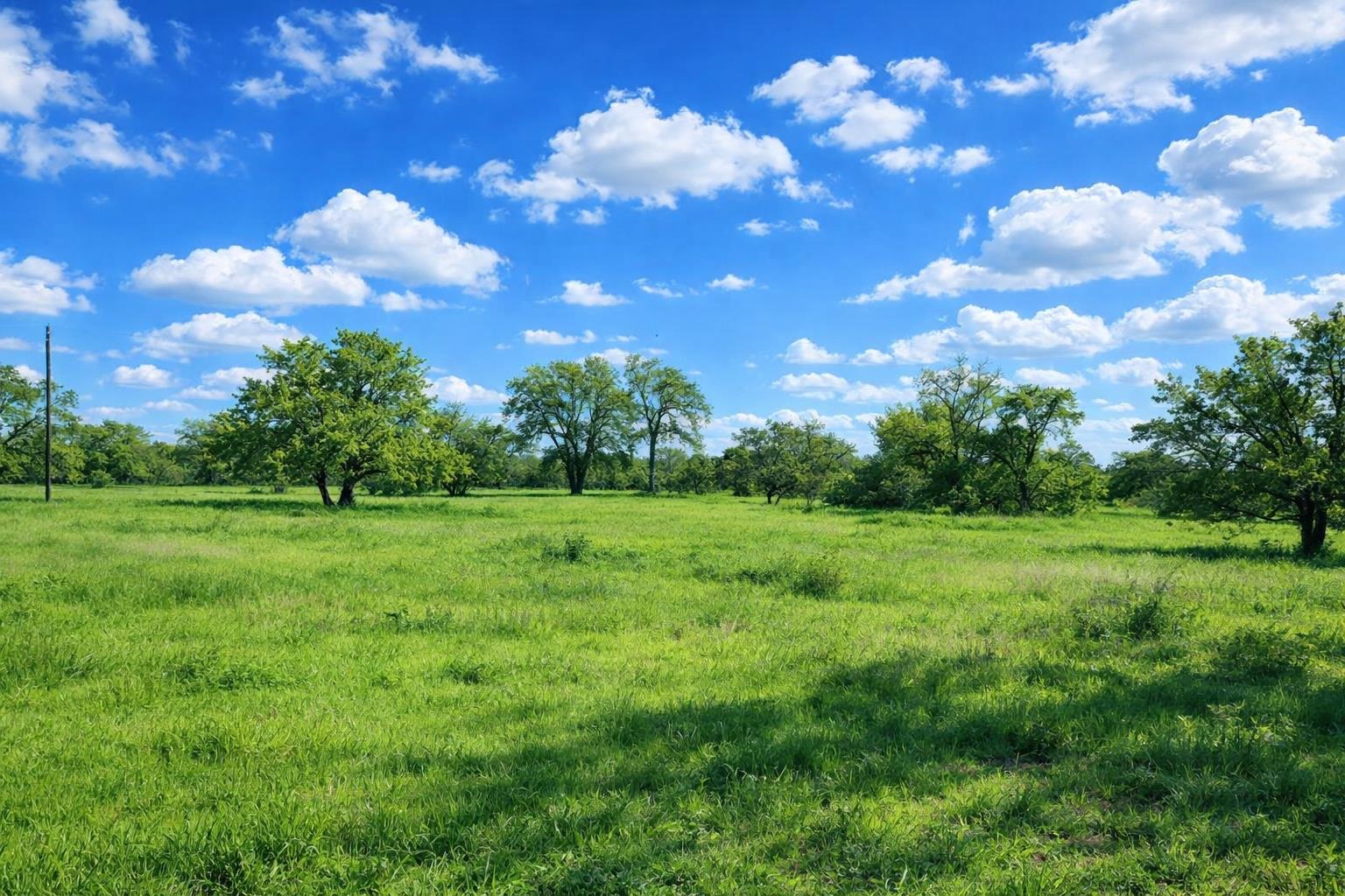 3809 Mormon Mill Road Marble Falls, TX 78654 - Photo 1 of 6 a view of a big yard with lots of green space