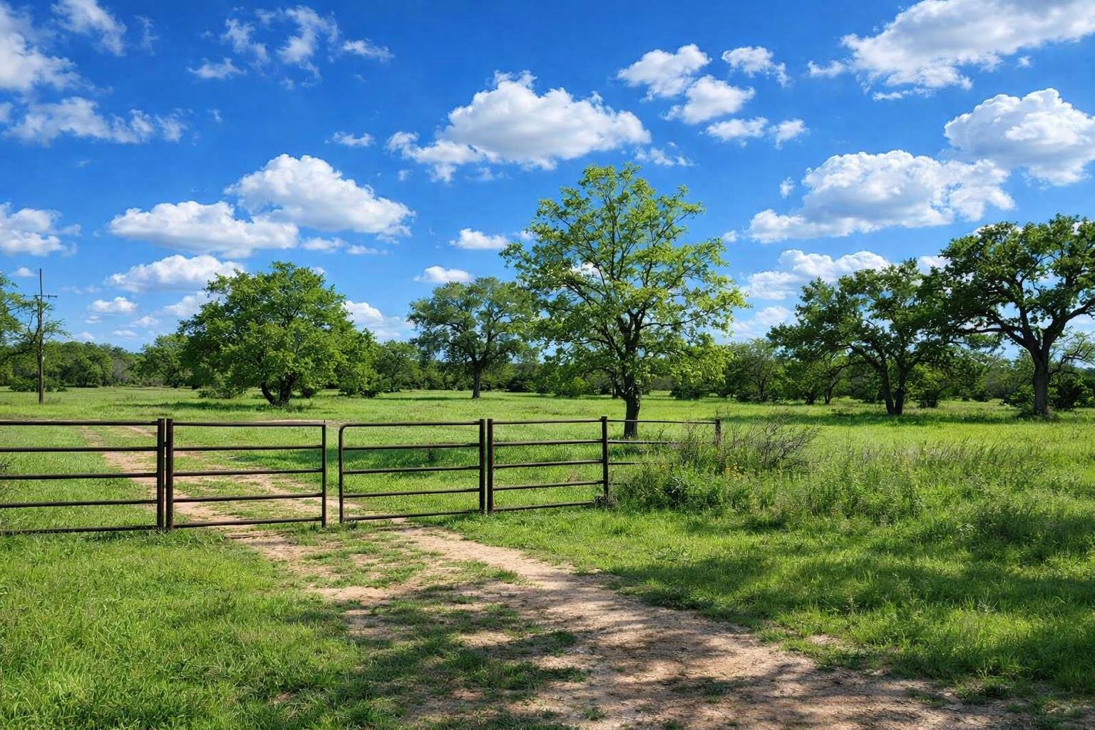 3809 Mormon Mill Road Marble Falls, TX 78654 - Photo 2 of 6 a view of a yard with a house in the background