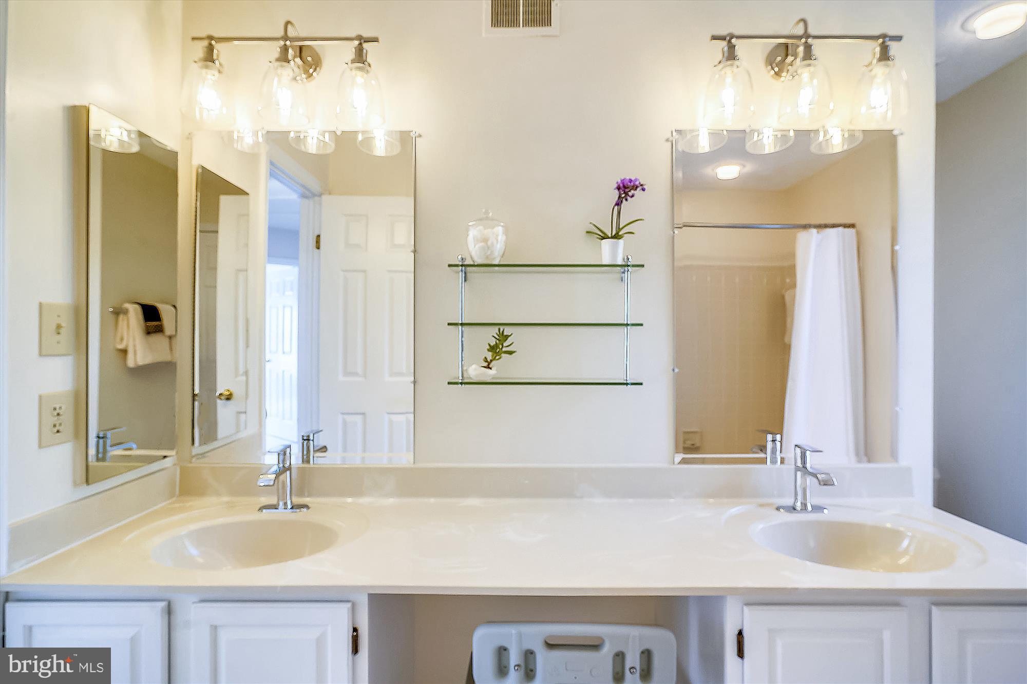 17302 Seneca Chase Park Road Poolesville, MD 20837 - Photo 43 of 82 MBR Bath with Double sinks and loads of cabinetry!