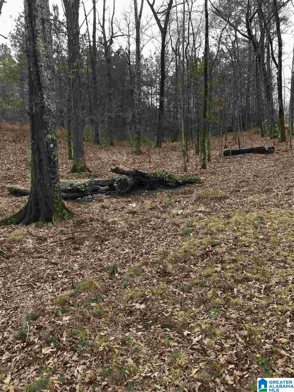 3021 Lake Road Sylacauga, AL 35151 - Photo 43 of 44