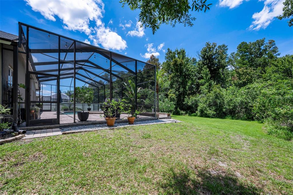 16207 Rambling Road Odessa, FL 33556 - Photo 49 of 76
