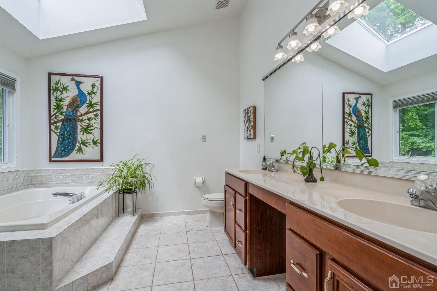 21 Rocky Hill Road Princeton, NJ 08540 - Photo 32 of 52 a spacious bathroom with a granite countertop tub a large mirror and a sink