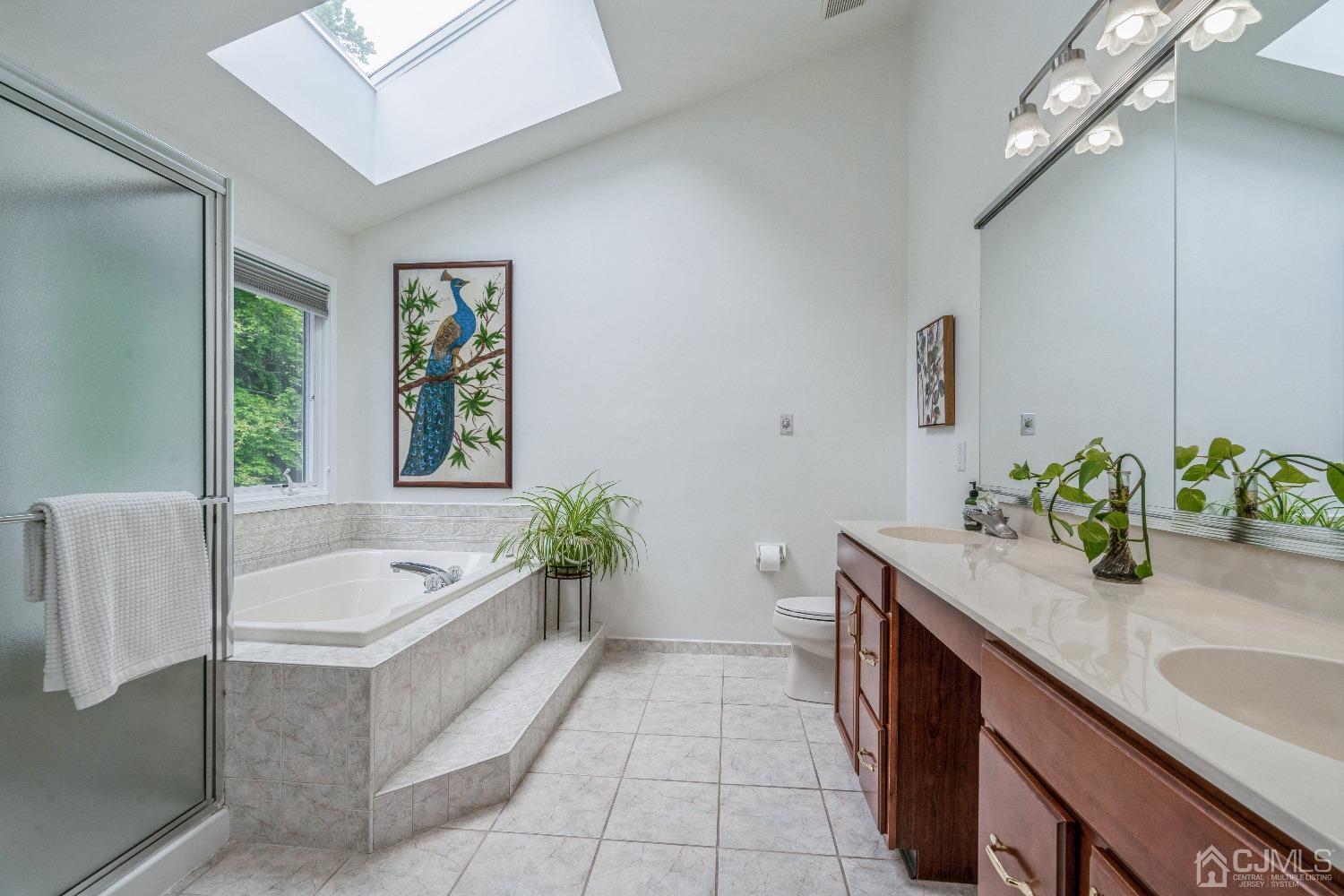 21 Rocky Hill Road Princeton, NJ 08540 - Photo 33 of 52 a spacious bathroom with a granite countertop tub a sink and a window