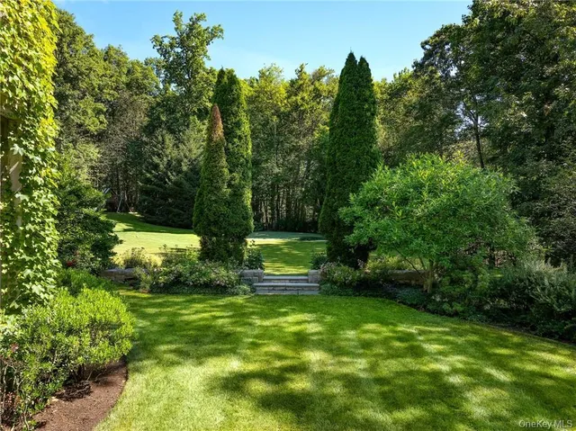 a view of a green yard with large trees