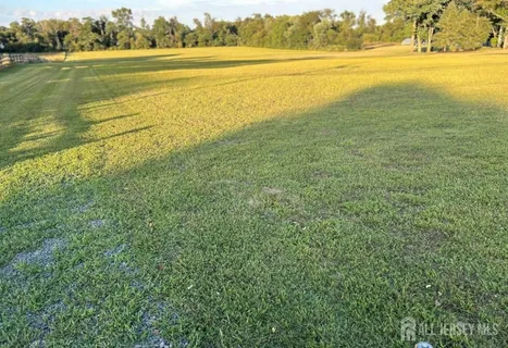 a view of an ocean and beach