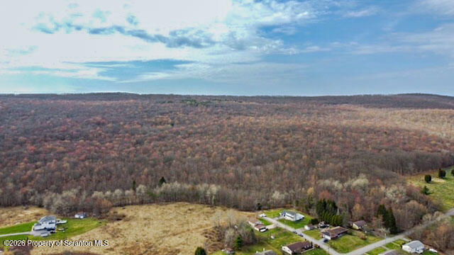 White Street Forest City, PA 18421 - Photo 11 of 29 a view of a yard