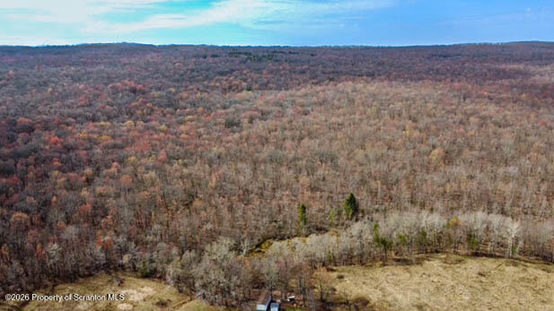 White Street Forest City, PA 18421 - Photo 14 of 29 a view of a dry field