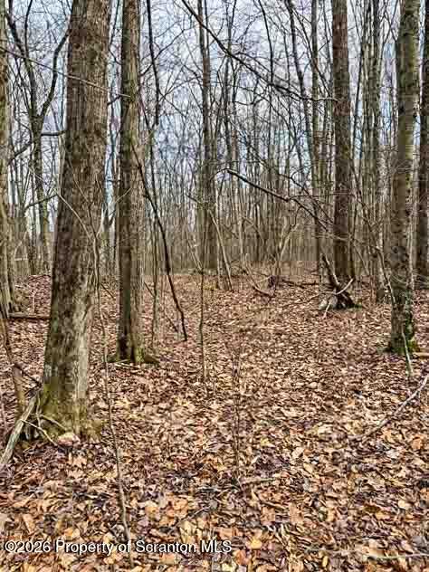 White Street Forest City, PA 18421 - Photo 17 of 29 a backyard of a house with lots of green space