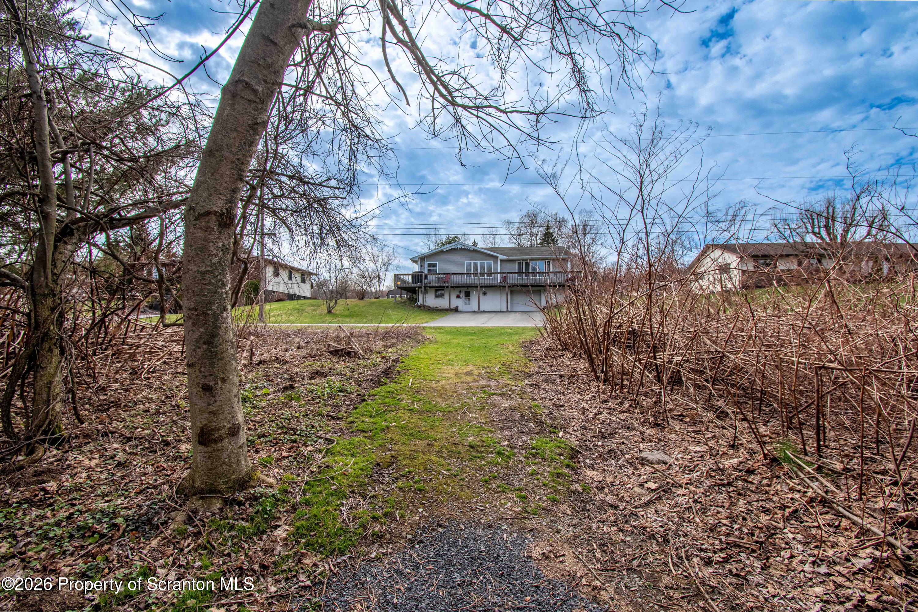 White Street Forest City, PA 18421 - Photo 19 of 29 a view of a yard with large trees