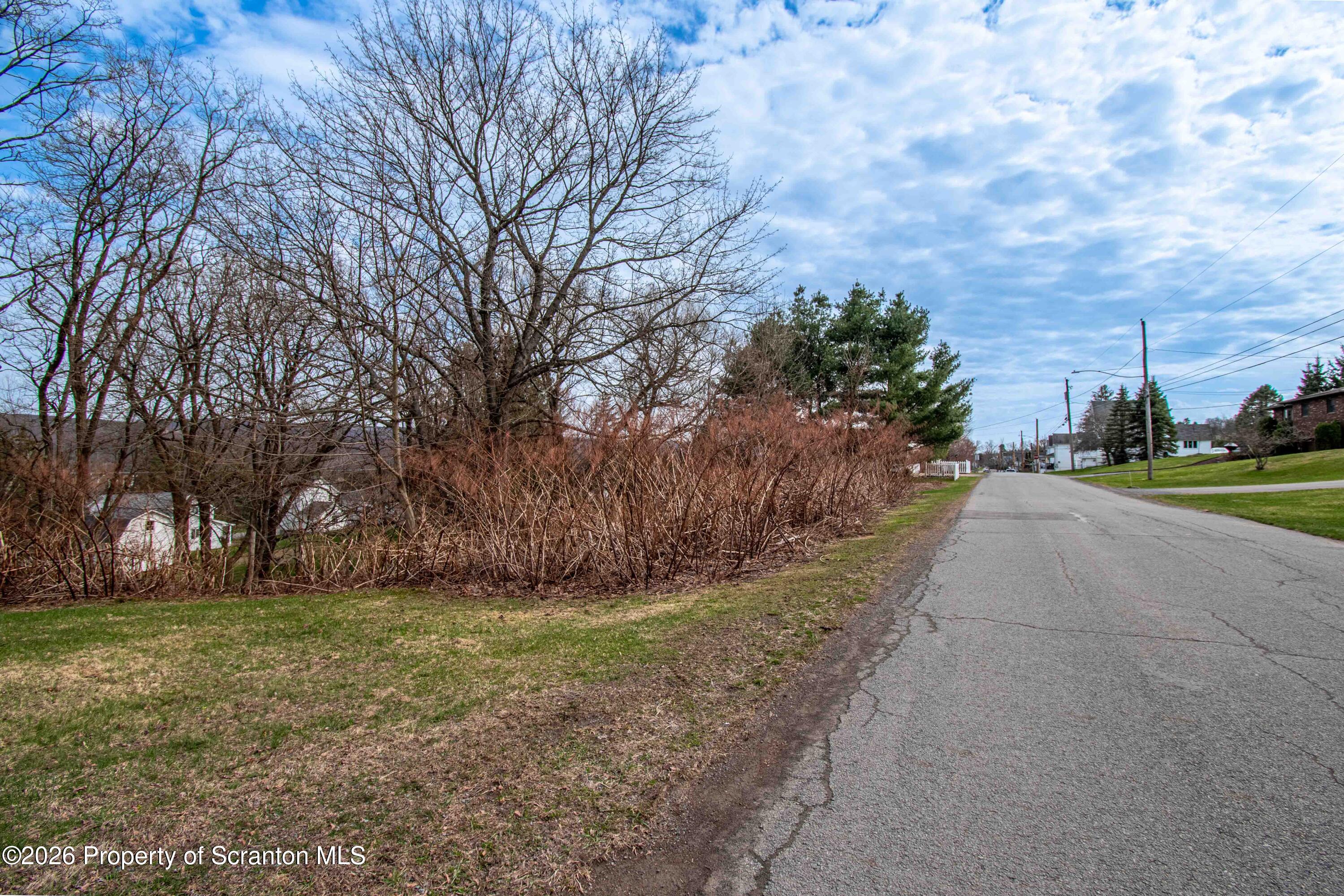 White Street Forest City, PA 18421 - Photo 20 of 29 a view of a yard with large trees