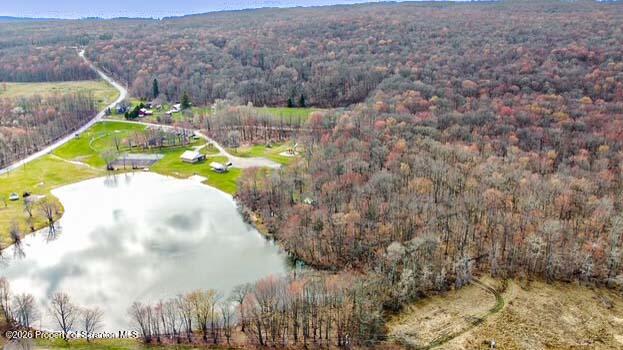 White Street Forest City, PA 18421 - Photo 2 of 29 a view of a yard