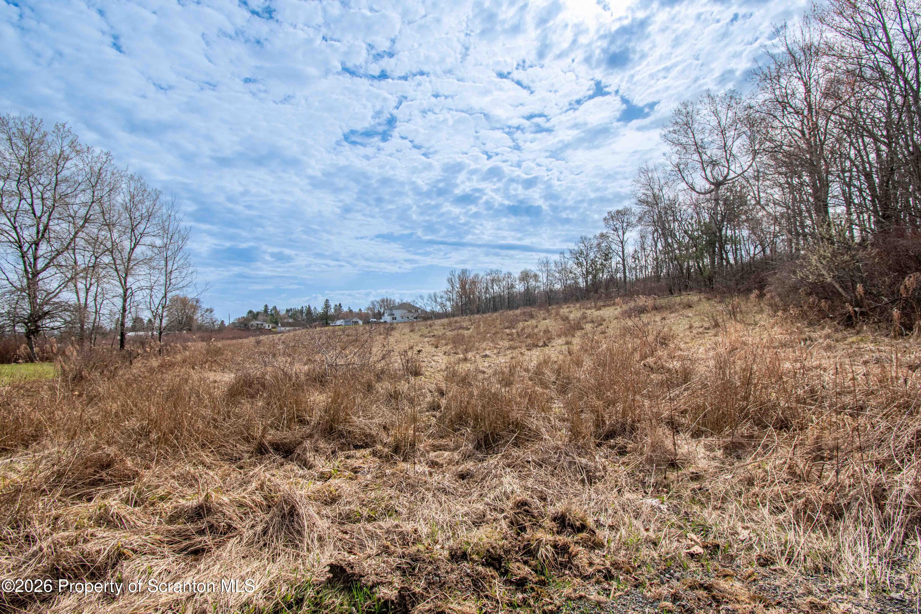 White Street Forest City, PA 18421 - Photo 21 of 29 a view of a dry yard with lots of trees