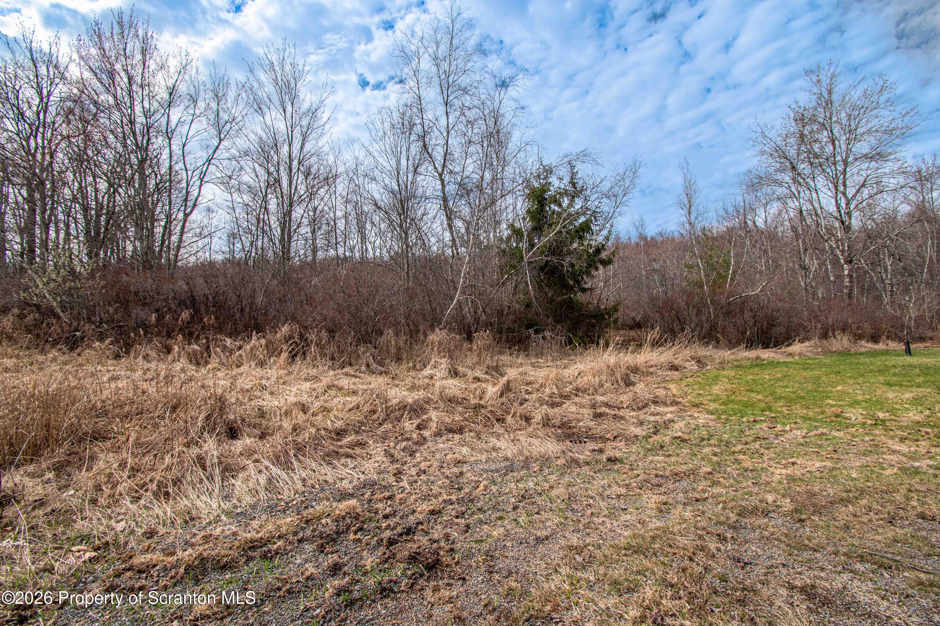 White Street Forest City, PA 18421 - Photo 22 of 29 a view of backyard and tree