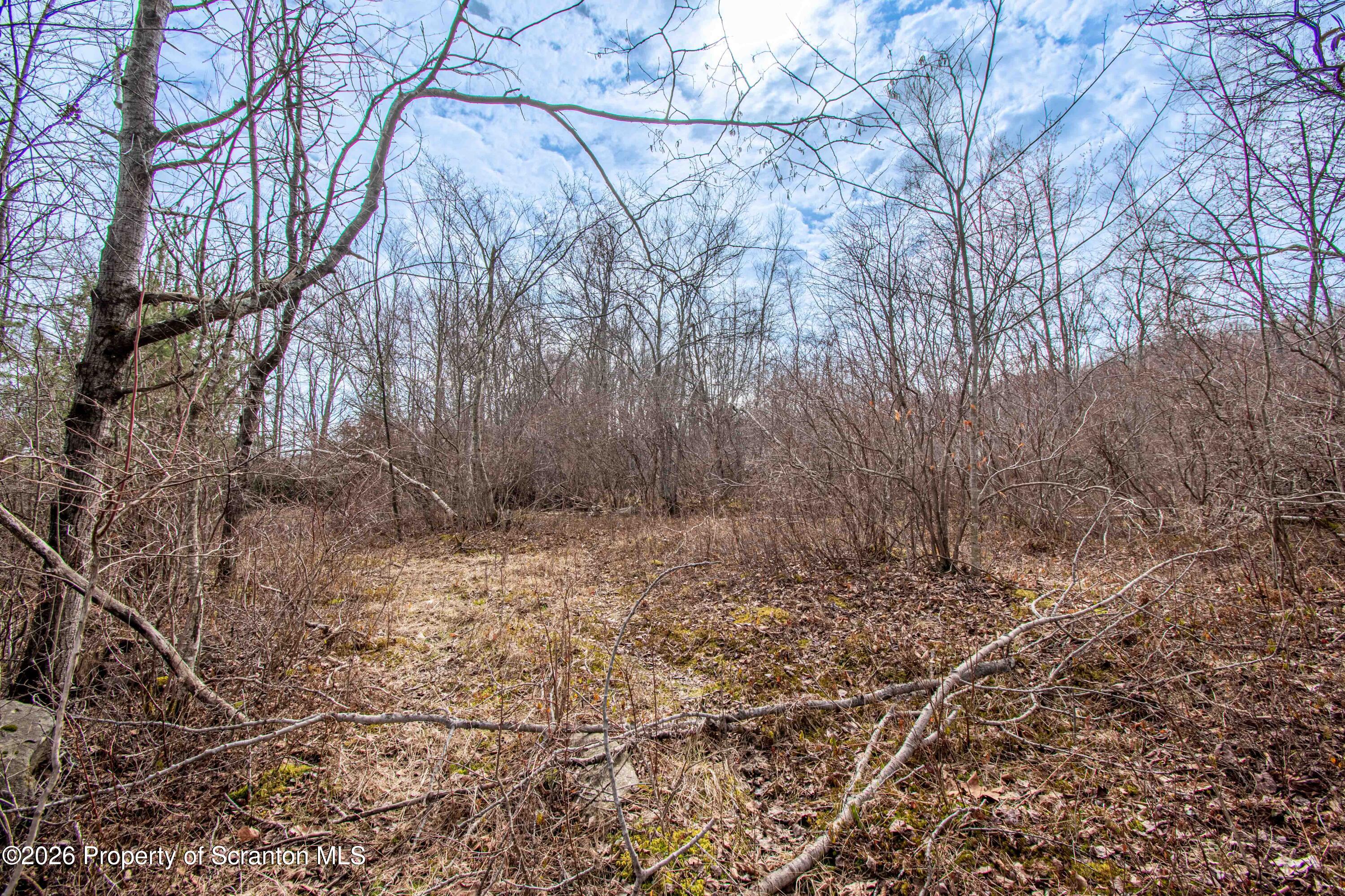 White Street Forest City, PA 18421 - Photo 24 of 29 a view of a yard