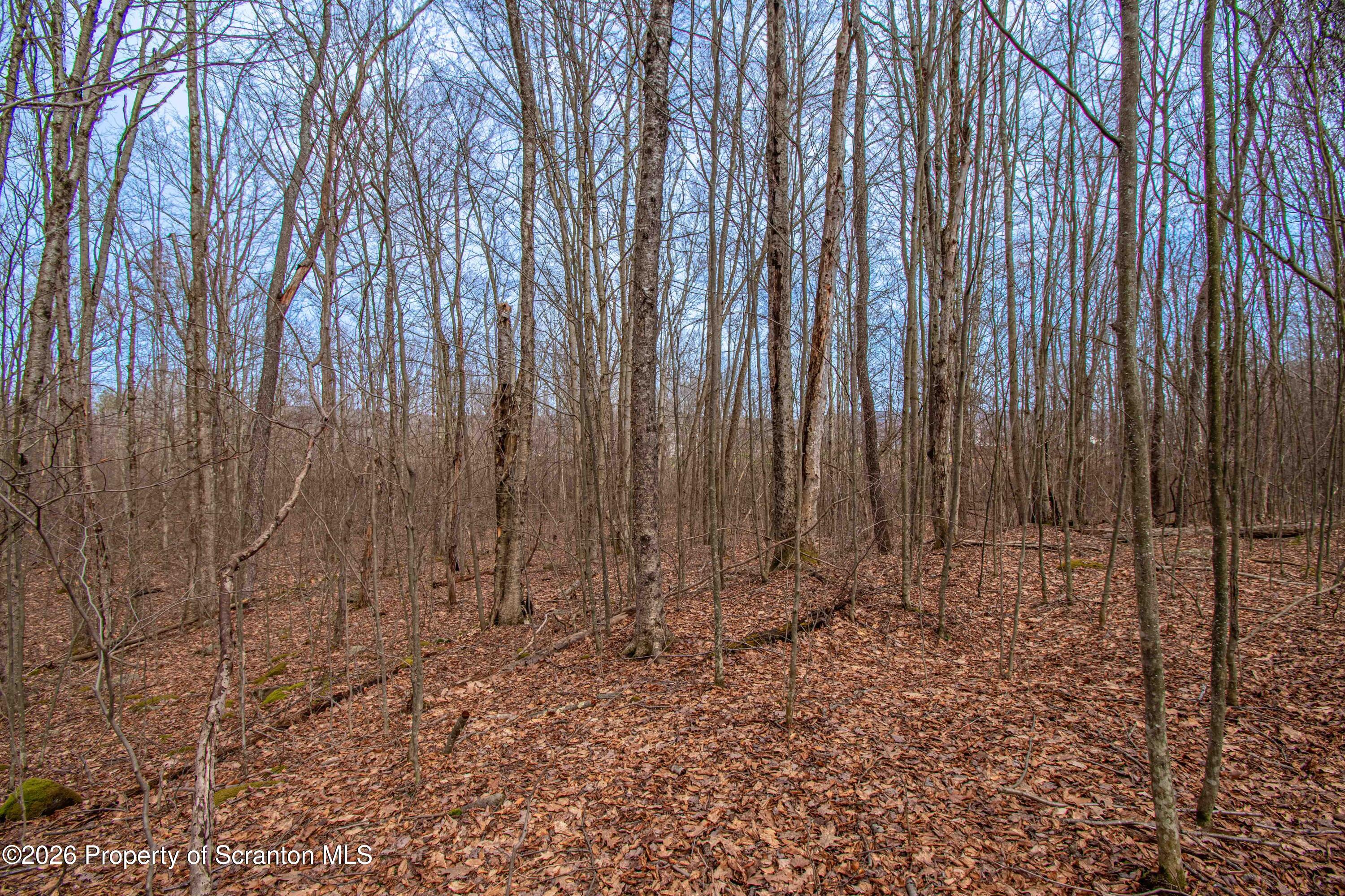 White Street Forest City, PA 18421 - Photo 28 of 29 a view of wooden fence with trees