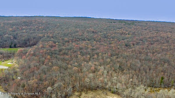 White Street Forest City, PA 18421 - Photo 3 of 29 a view of a dry yard with wooden floor