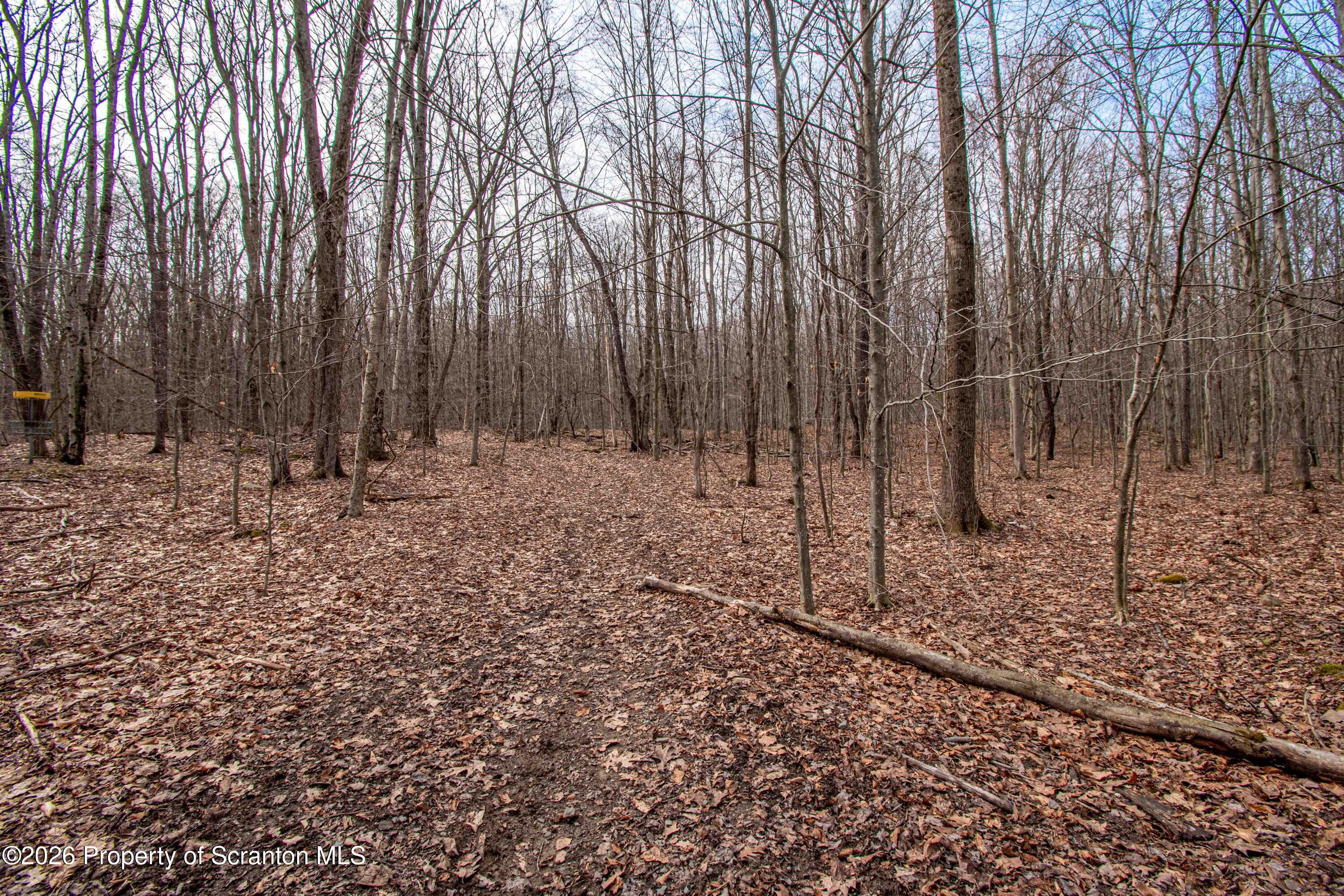 White Street Forest City, PA 18421 - Photo 7 of 29 a view of outdoor space with wooden fence