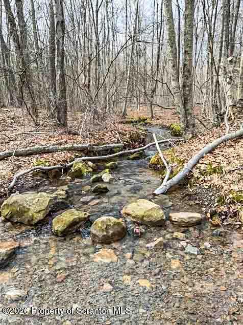 White Street Forest City, PA 18421 - Photo 10 of 29