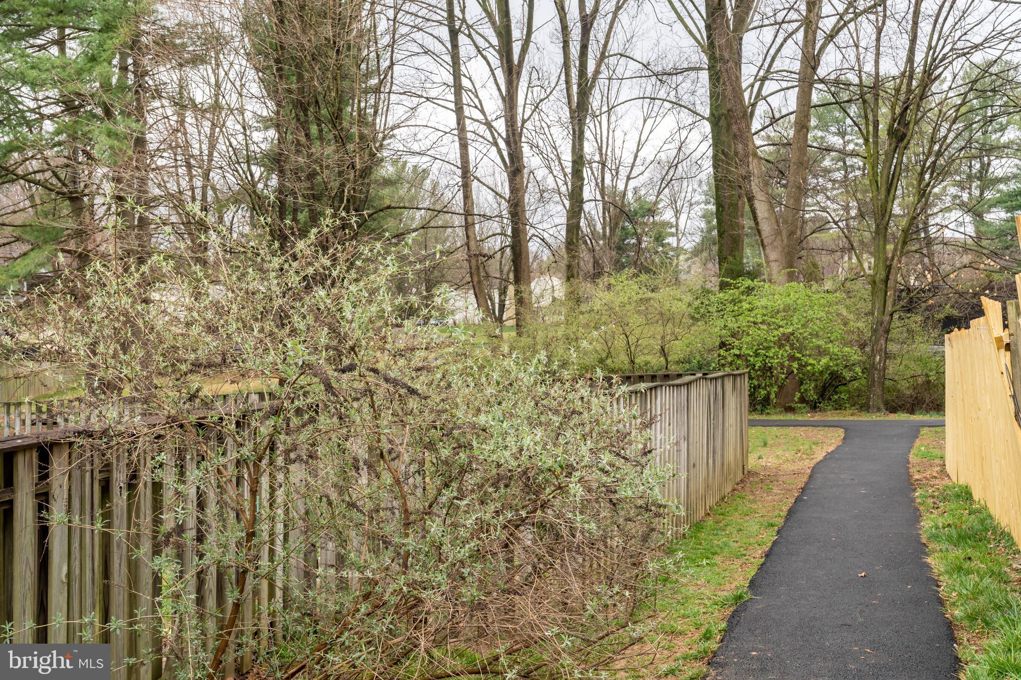 6128 Mantle Road Burke, VA 22015 - Photo 30 of 32 Trail next to house leading to park
