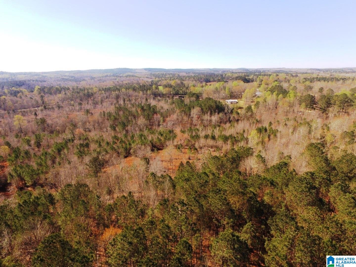 3045 Corinth Road, Unit 56 ACRES Cragford, AL 36255 - Photo 26 of 29